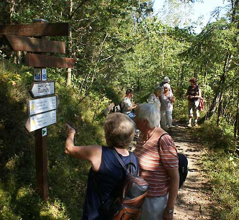 Wanderungen durch die Natur des Bayerischen Waldes